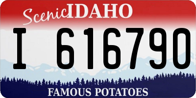 ID license plate I616790