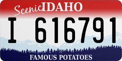 ID license plate I616791