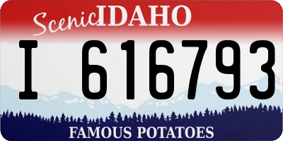 ID license plate I616793