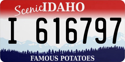 ID license plate I616797