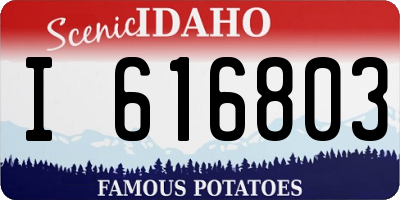 ID license plate I616803