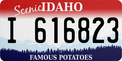 ID license plate I616823