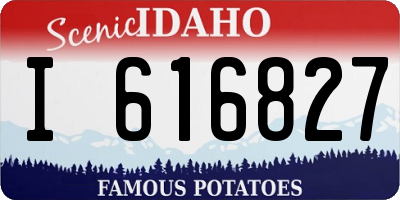 ID license plate I616827