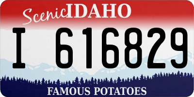 ID license plate I616829
