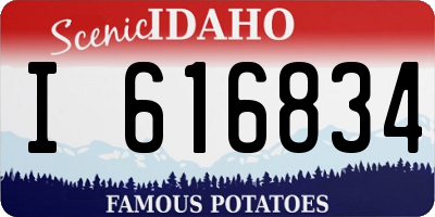 ID license plate I616834