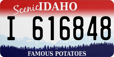 ID license plate I616848