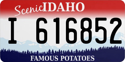 ID license plate I616852