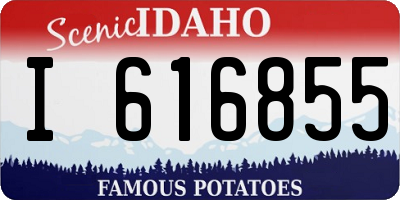 ID license plate I616855