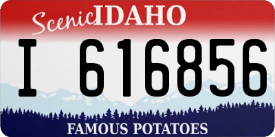 ID license plate I616856