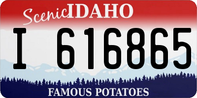 ID license plate I616865