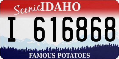 ID license plate I616868