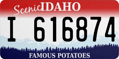 ID license plate I616874
