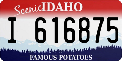 ID license plate I616875