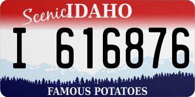 ID license plate I616876