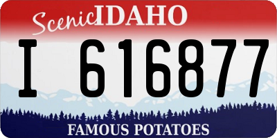 ID license plate I616877