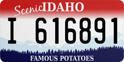 ID license plate I616891