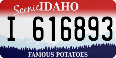 ID license plate I616893