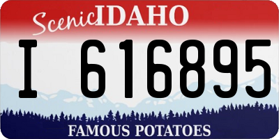 ID license plate I616895