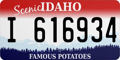 ID license plate I616934
