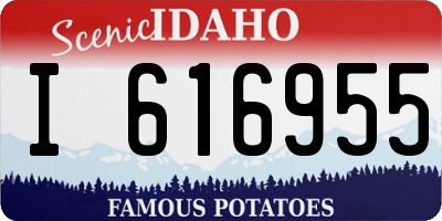 ID license plate I616955