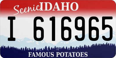 ID license plate I616965