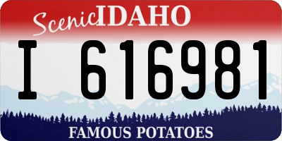ID license plate I616981