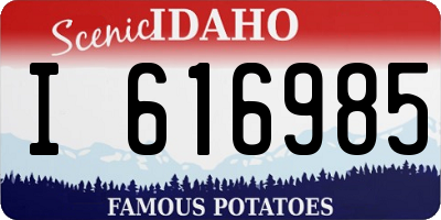 ID license plate I616985