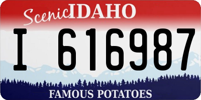 ID license plate I616987