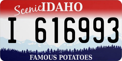 ID license plate I616993