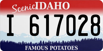 ID license plate I617028
