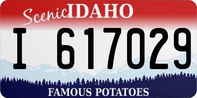 ID license plate I617029