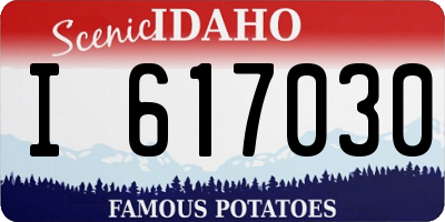 ID license plate I617030