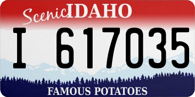 ID license plate I617035