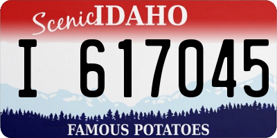 ID license plate I617045