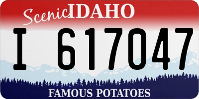 ID license plate I617047