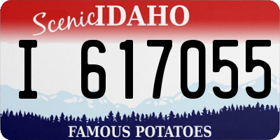 ID license plate I617055