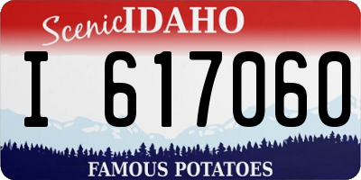 ID license plate I617060
