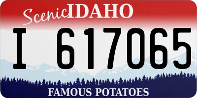ID license plate I617065
