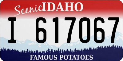 ID license plate I617067
