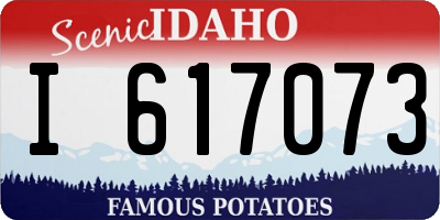ID license plate I617073