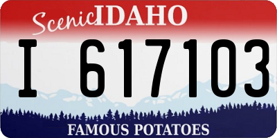 ID license plate I617103