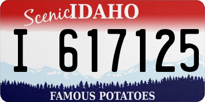 ID license plate I617125
