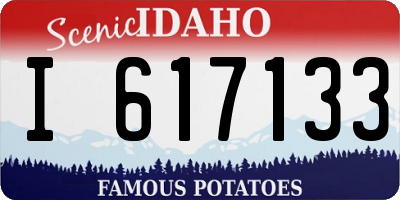 ID license plate I617133