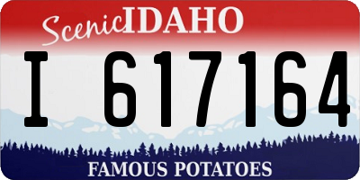 ID license plate I617164