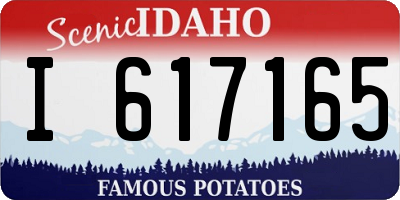 ID license plate I617165