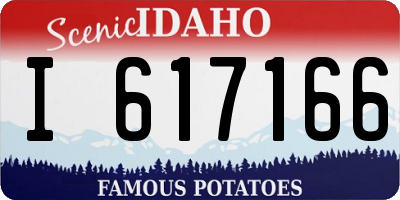 ID license plate I617166