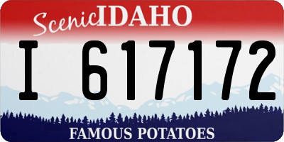 ID license plate I617172