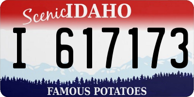 ID license plate I617173