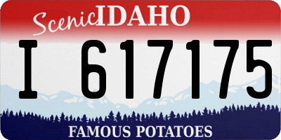 ID license plate I617175