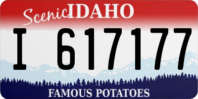 ID license plate I617177